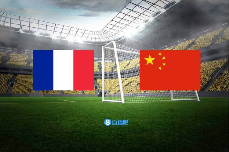 中国vs法国高清视频下载