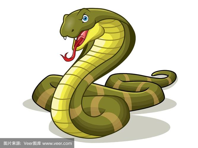 卡通蛇王vs日本蛇王