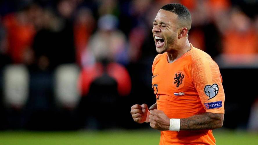 比利时vs荷兰库瓦比分