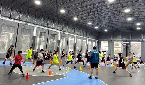 南京体育训练营直播视频的相关图片